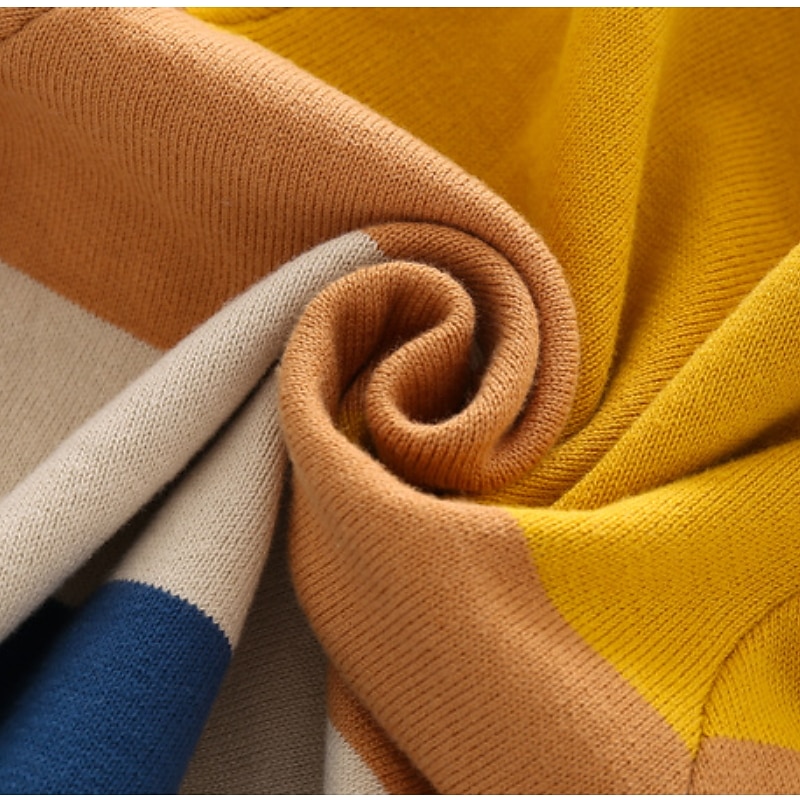 Boys 3D Animal Cartoon Tiger Sweatshirt Long Sleeve Fall Winter Active Basic Kids 3-8 Years Outdoor Indoor Regular Fit4