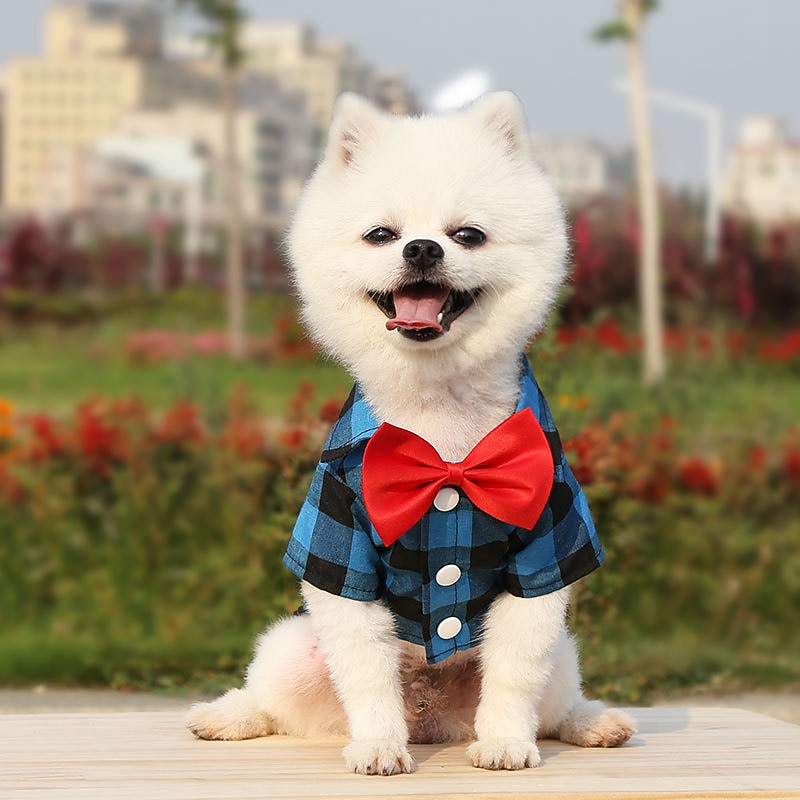 Dog Cat T-shirts Fashion Party Breathable Soft Washable Comfortable Christmas Wedding Outdoor Wedding Party Casual Daily Dog Clothing for Bichon Frise Pomeranian Baby Pet Papillon Small2