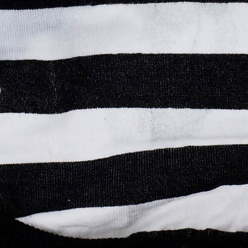 Cat Dog Shirt / T-Shirt Vest Puppy Clothes Spring &  Fall Dog Clothing3