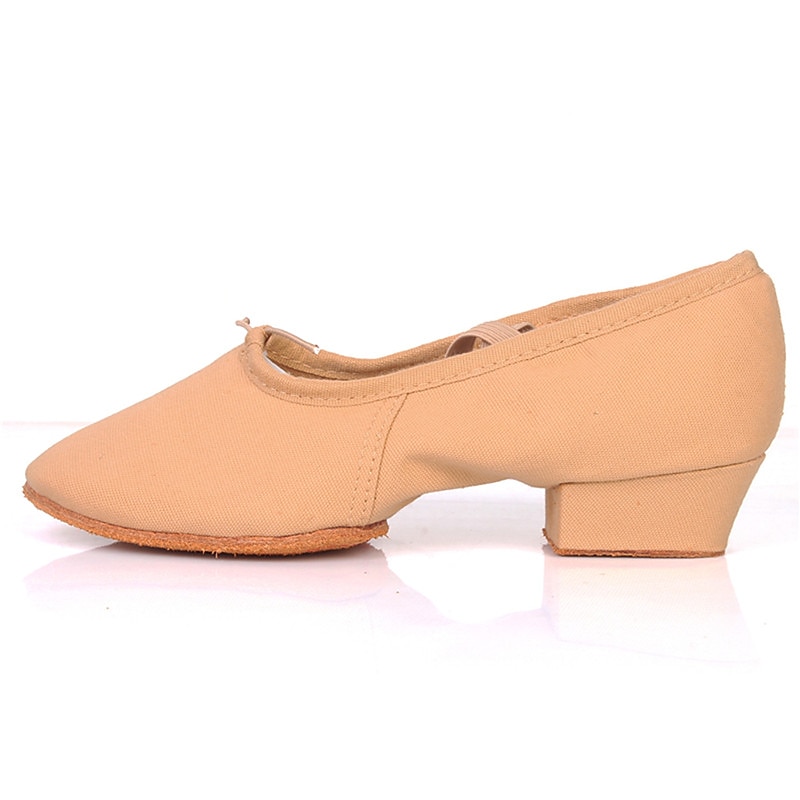 Women's Canvas Ballroom Dance Shoes with Low Heel and Suede Sole - Ideal for Latin Dance, Soft Sole Dance Shoes for Performance2