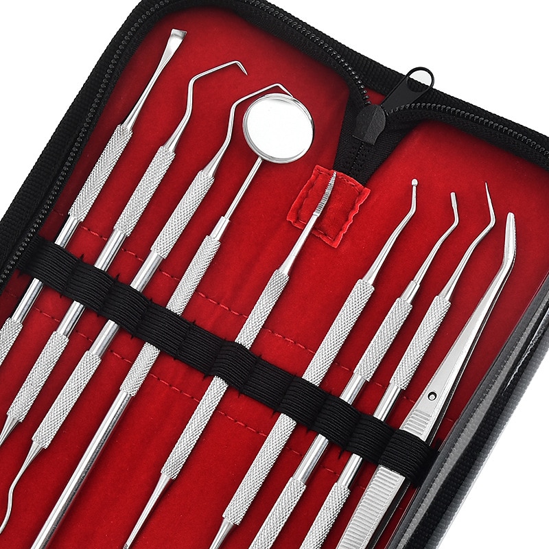 9 Pcs Set Stainless Steel Dental Cleaning Tools Oral Care Tools Dental Calculus Cleaning Dental Stains Tartar Care Tools4