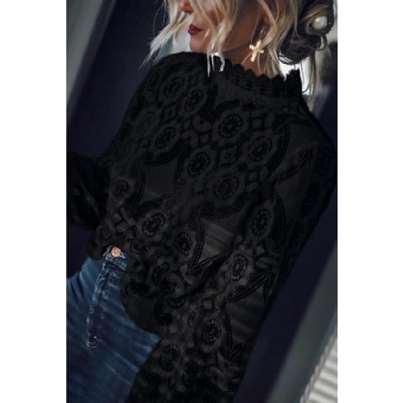 Women's Shirt Blouse Black White Plain See Through Long Sleeve Casual Daily Round Neck S3