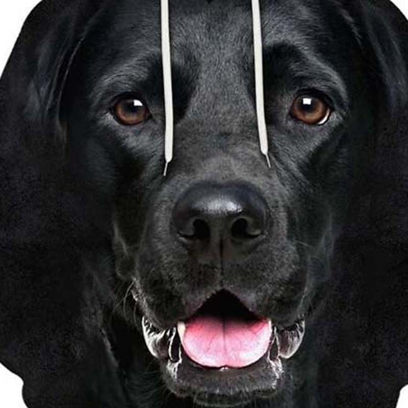 Men's Dog Graphic Prints Hoodie Hoodies Sweatshirt Sportswear Casual Long Sleeve Hooded Casual Daily Sports 1 2 Print Front Pocket Spring &  Fall Designer2