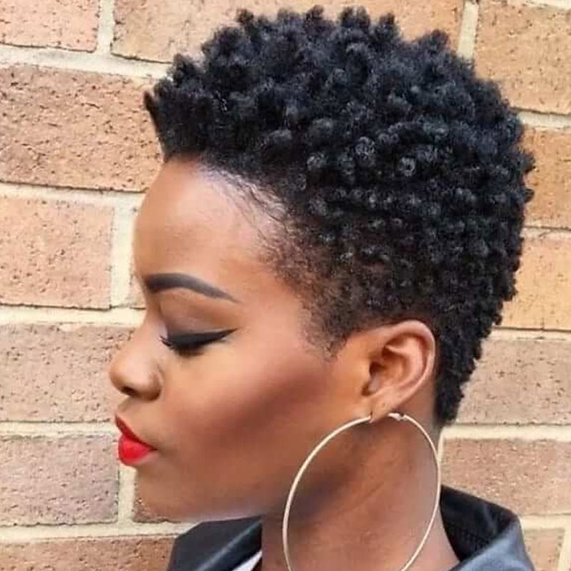 Black Wigs for Women Synthetic Wig Afro Curly Wig Short Black Synthetic Hair for Women