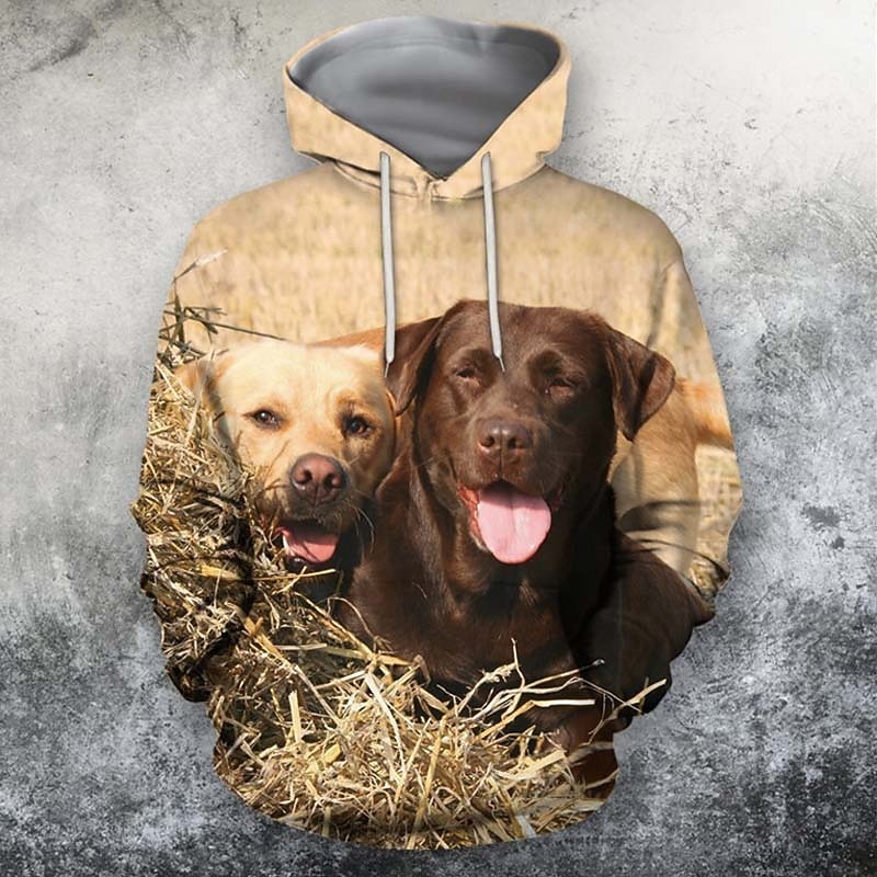 Men's Dog Graphic Prints Hoodie Hoodies Sweatshirt Sportswear Ethnic Long Sleeve Hooded Casual Daily Sports Khaki Print Front Pocket Spring &  Fall Designer