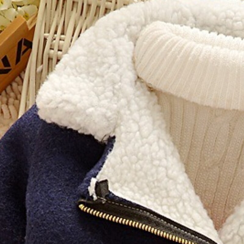 Boys' 3D Plain Coat Long Sleeve Winter Active Sport Kids 1-5 Years School Vacation Regular Fit4