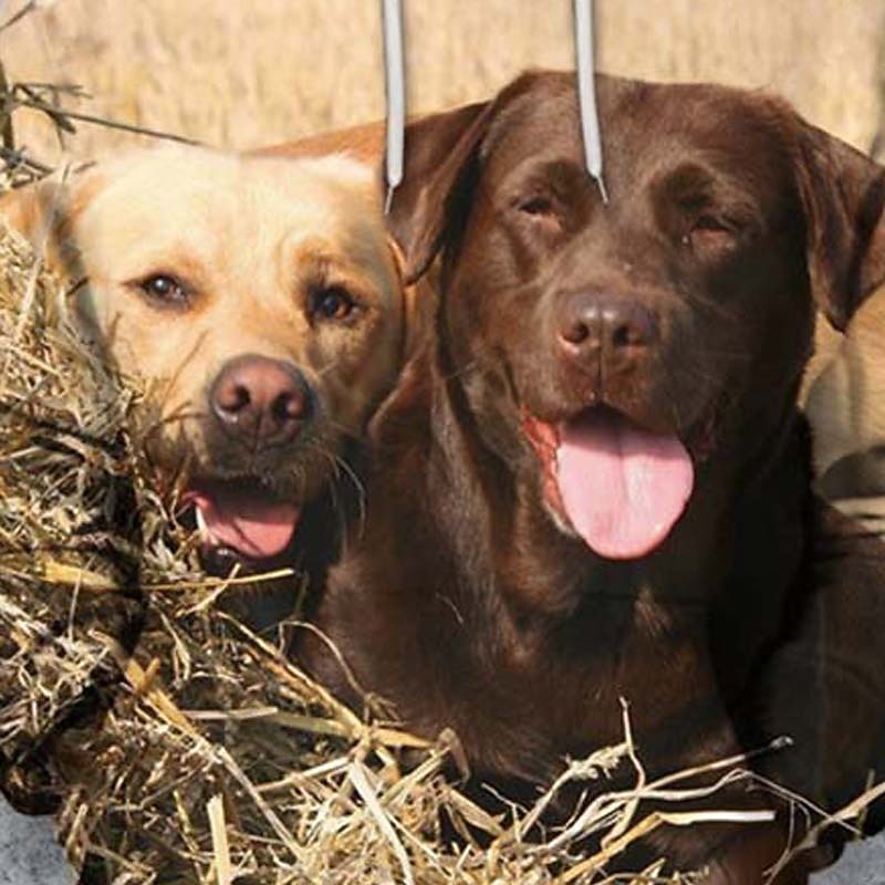 Men's Dog Graphic Prints Hoodie Hoodies Sweatshirt Sportswear Ethnic Long Sleeve Hooded Casual Daily Sports Khaki Print Front Pocket Spring &  Fall Designer2