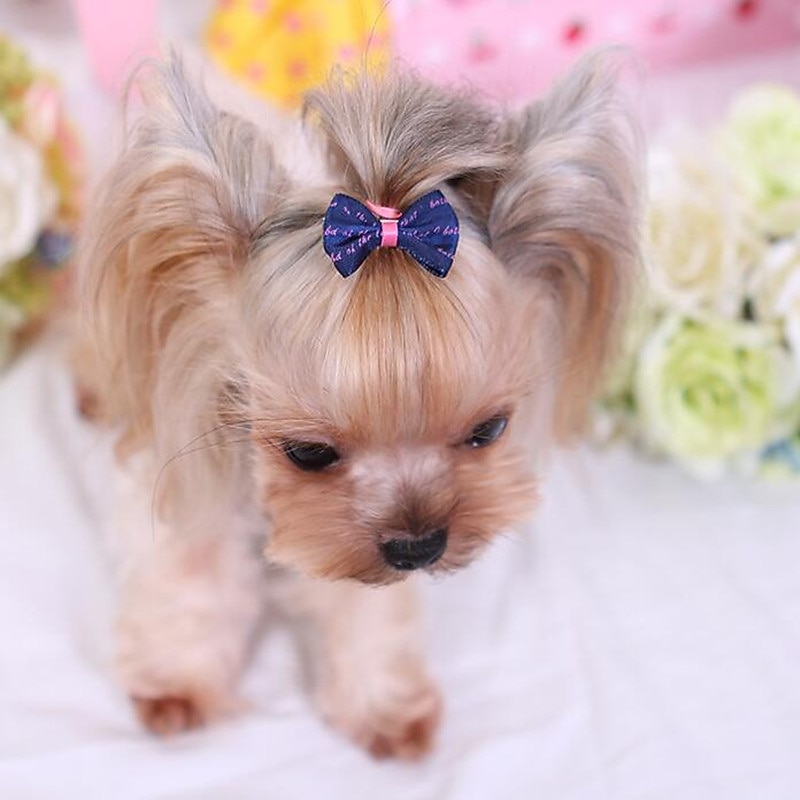 Dog Cat Hair Bow Cute Cosplay Casual Daily Dog Clothing for Shih Tzu Maltese Chihuahua Pomeranian Toy Poodle3
