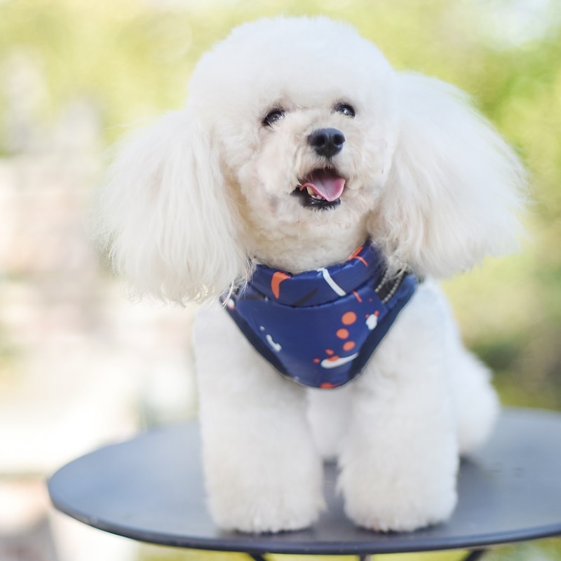 Dog Cat Coat Jacket Vest Fashion Casual Winter Warm Breathable Soft Comfortable Thick Casual Daily Dog Clothing4