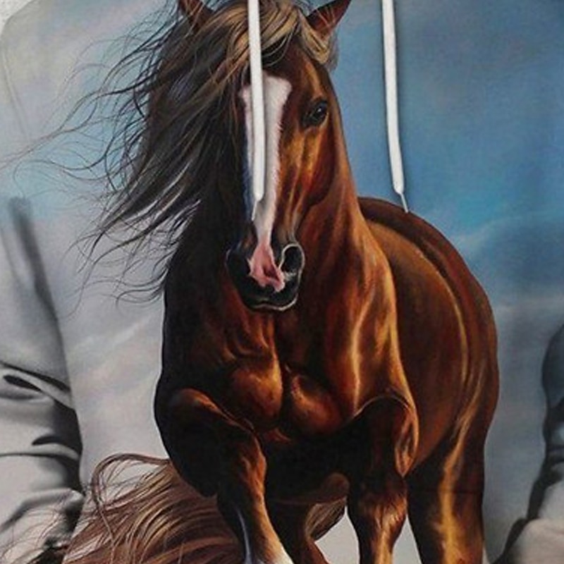 Men's Horse Graphic Prints Hoodie Hoodies Sweatshirt Sportswear Casual Long Sleeve Hooded Casual Daily Sports Blue Print Spring &  Fall Designer2