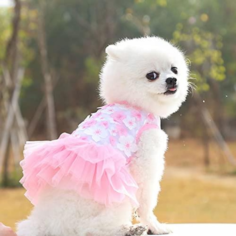 Dog Dress Winter Warm Soft Fashion Sports Outdoor Indoor Holiday Traveling Dog Clothing
