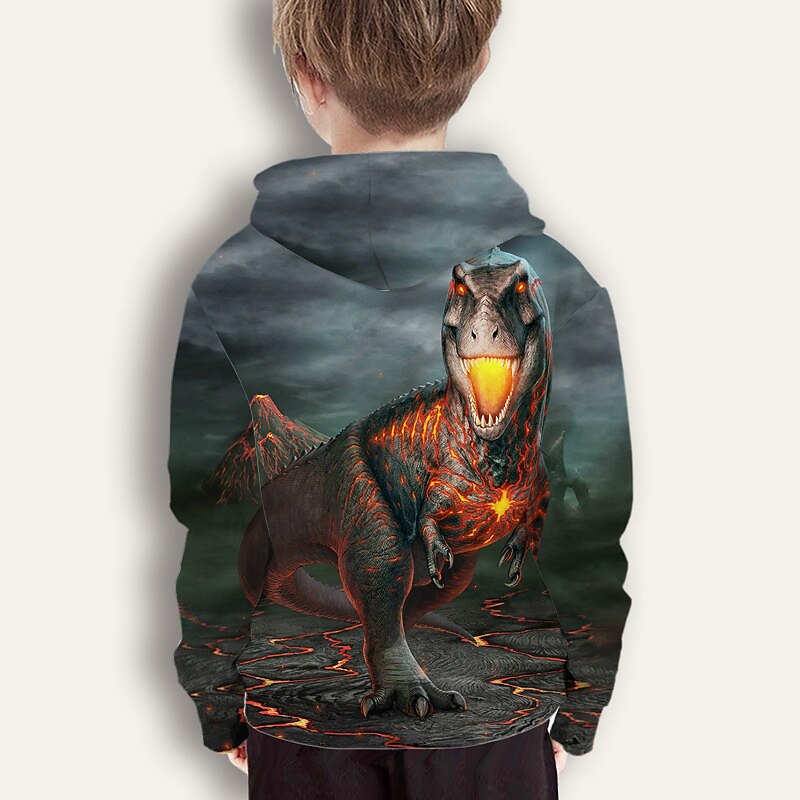 Boys 3D Animal Dinosaur Hoodie Long Sleeve 3D Print Spring Winter Active Sports Fashion Kids 3-12 Years Outdoor Daily Indoor Regular Fit4