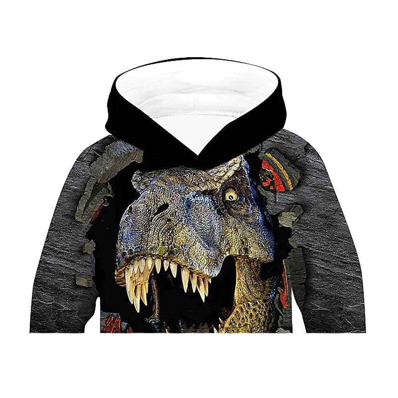 Boys 3D Animal Hoodie Long Sleeve 3D Print Fall Winter Active Streetwear Basic Kids 2-13 Years Outdoor Daily4