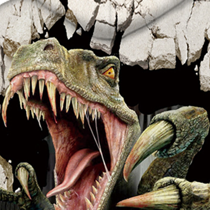 Kids Boys' Hoodie & Sweatshirt Dinosaur Geometric 3D Animal Print Long Sleeve Active Basic White4