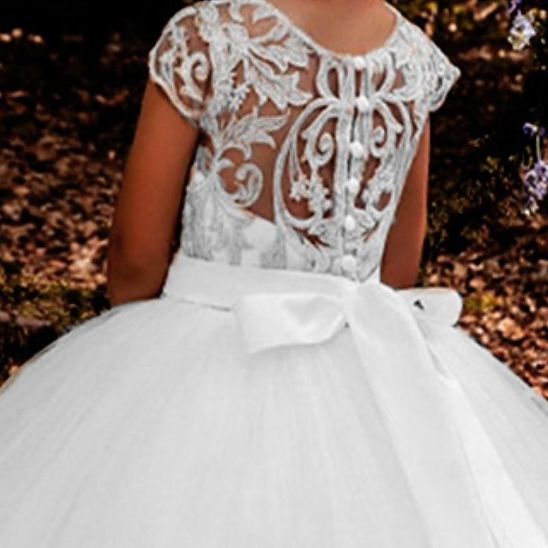 Kids Girls' Flower Girl Dress Dress Floral Solid Colored Short Sleeve Wedding Party Birthday Lace Ruched Mesh Cute Princess Polyester Maxi A Line Dress Tulle Dress Flower Girl's Dress Summer Fall4
