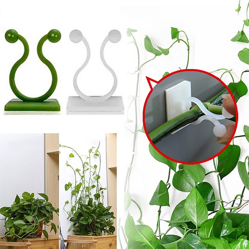 20 Pieces Invisible Wall Rattan Clamp Plant Climbing Wall Self-Adhesive Fixator Vine Buckle Hook Rattan Fixed Clip Bracket Plant Stent Support