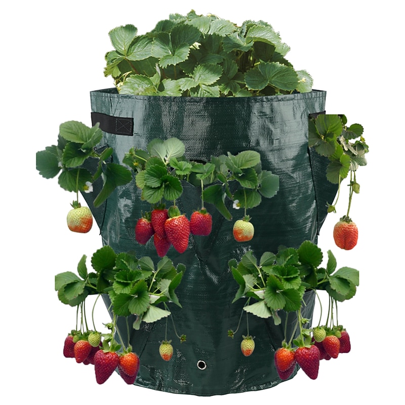 Vertical Strawberry Planting Grow Bags Growing Bags with 10 Pocket Planter Grow Bag - Gardening Wall Hanging Vegetable Planting Tools