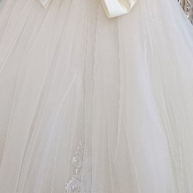 Flower Girl Dress Girls' First Communion Dress Party Dress Performance Wedding Party Princess Sweet Mesh Solid Color Sleeveless Crew Neck White Champagne 2-12 Years3