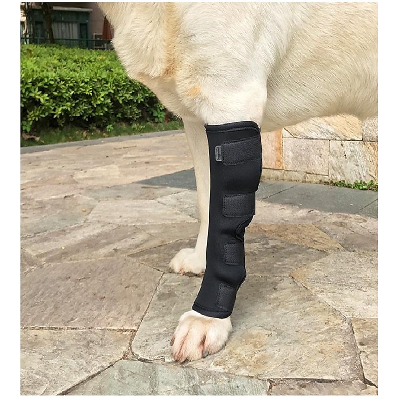 dog shin guards pet leg injury anti-licking joint fixation recovery straps teddy golden retriever leg bracket foot cover
