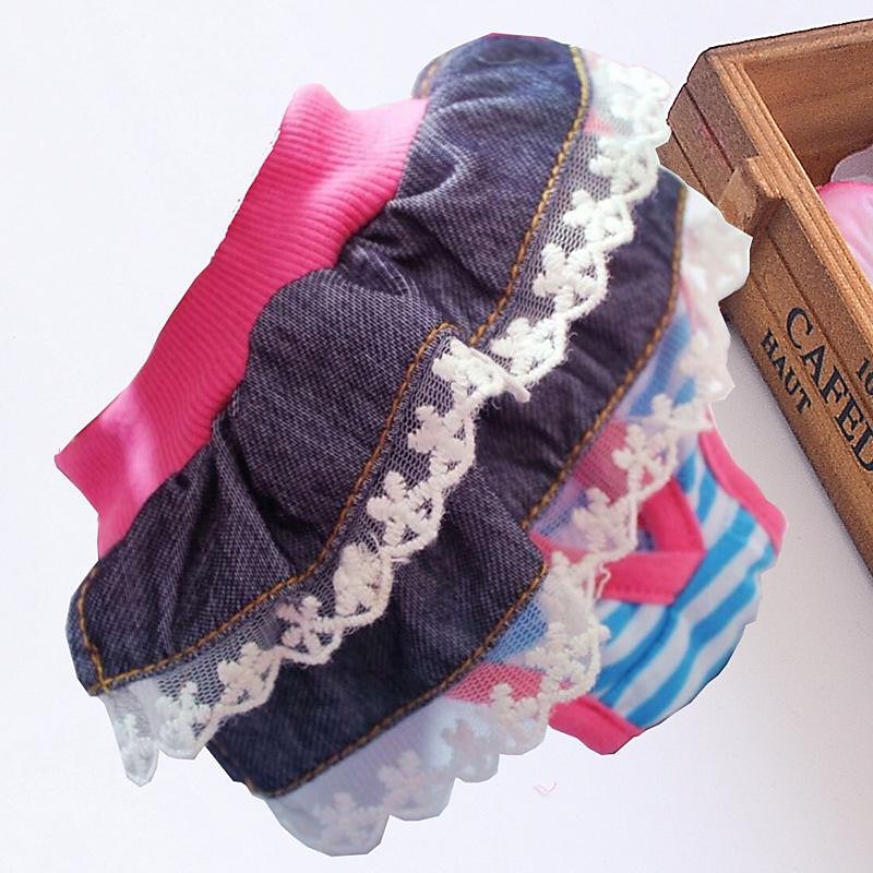 Female Dog Physiological Sanitary Pants, Washable Reusable Menstrual Care Pet Pants, Anti-Harassment Pants for Small, Medium and Large Dogs2