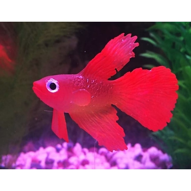 2 Pieces Artificial Aquarium Fishes Plastic Fish Realistic Artificial Moving Floating Orange Goldfish Fake Fish Ornament Decorations for Aquarium Fish Tank4