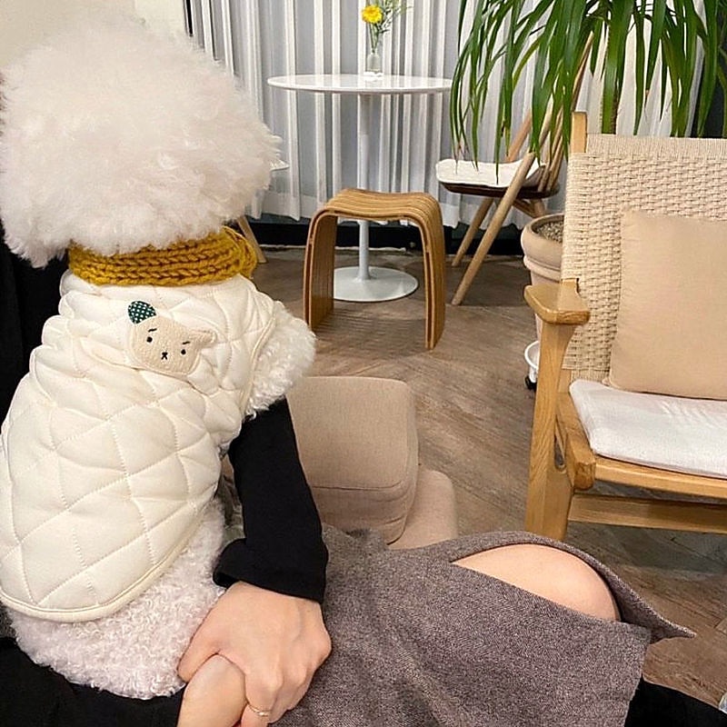 Dog Cat Coat Jacket Christmas gifts for pets Casual Daily Casual Fall Winter Warm Breathable Soft Comfortable Safety Sports Outdoor Indoor Dog Clothing2