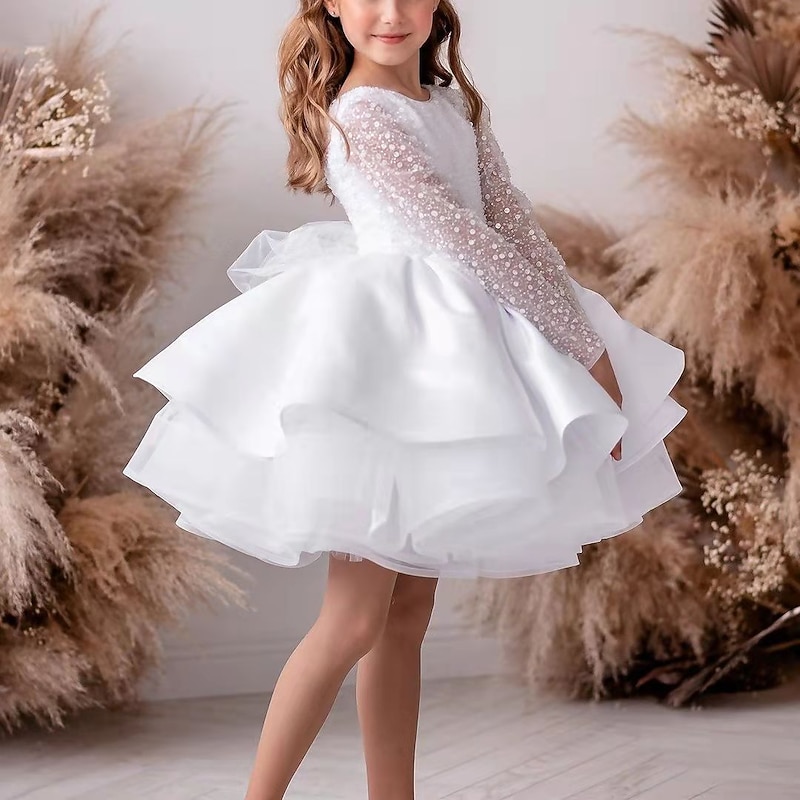 Flower Girl Dress Girls' Dress First Communion Dress Performance Wedding Party Princess Sweet Ruched Mesh Polka Dot Long Sleeve Crew Neck Type A Type B 3-12 Years
