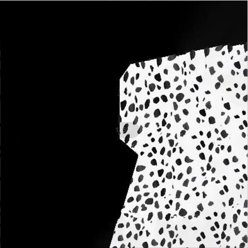 Cruella De Vil Blouse / Shirt Anime Cartoon Anime 3D 3D Harajuku Graphic For Couple's Unisex Adults' Back To School Hot Stamping3