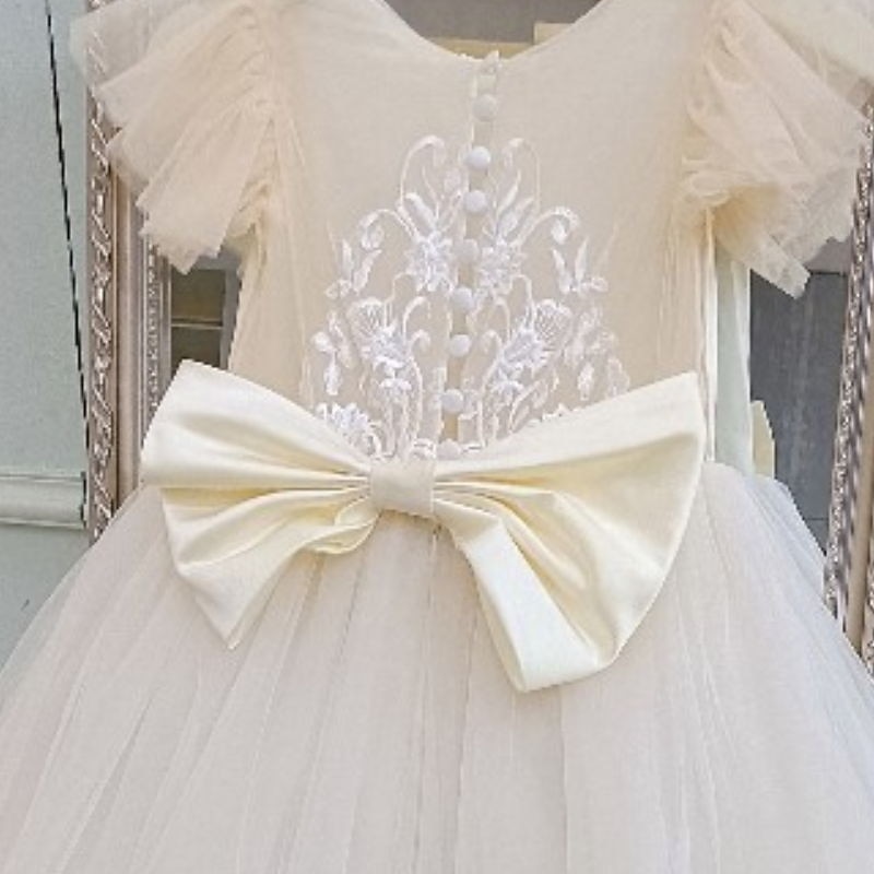 Kids Little Girls' Dress Solid Colored A Line Dress Wedding Performance Mesh Lace Bow White Asymmetrical Sleeveless Princess Sweet Dresses Summer Regular Fit 2-8 Years3