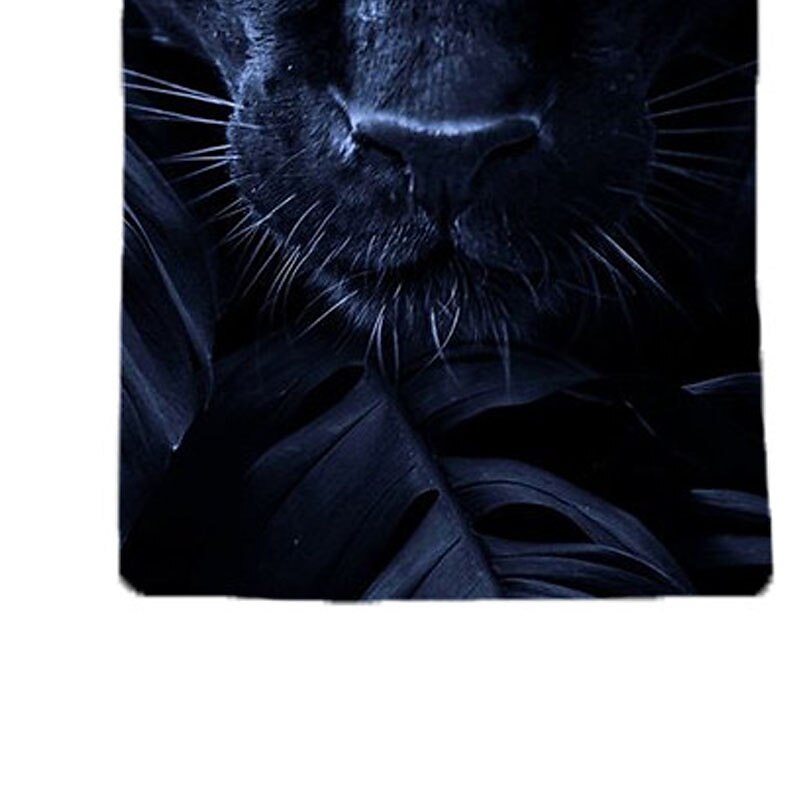 Boys 3D Animal Leopard T shirt Short Sleeve 3D Print Summer Spring Active Sports Fashion Kids 3-12 Years Outdoor Daily Indoor Regular Fit3