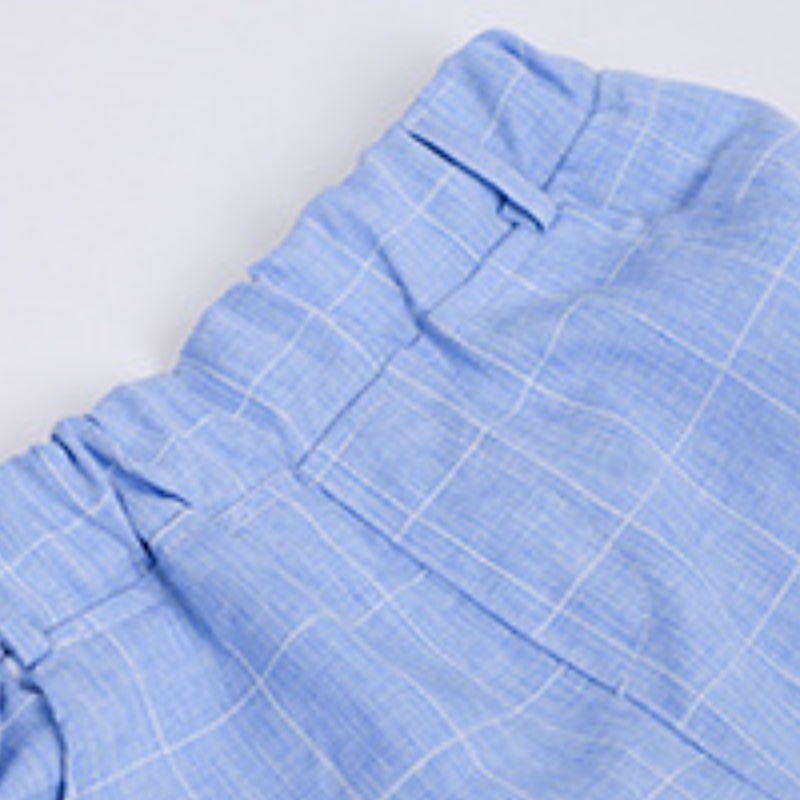 Kids Boys Suit Vest Shorts Set Clothing Set 3 Pieces Sleeveless Blue Gray Pink Plaid Formal Birthday Gentle Preppy Style 4-13 Years4