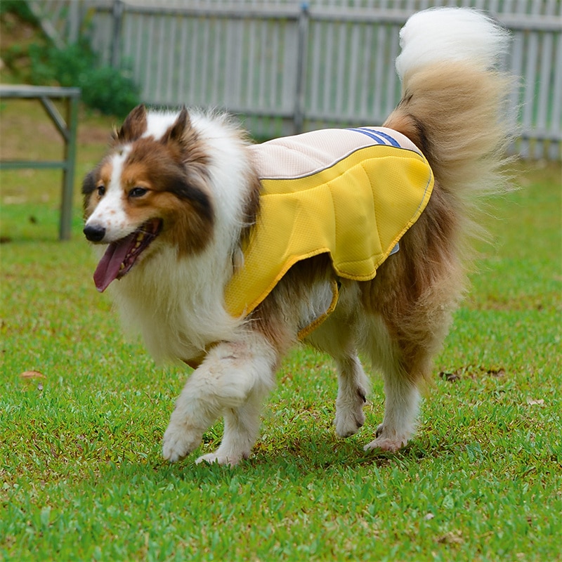 Dog Cat UV Protection Suit Dog Life Jacket Fashion Cute Soft Washable Comfortable Outdoor Sports Casual Daily Dog Clothing for Labrador Alaskan Malamute Golden Retriever Border Collie Beagle