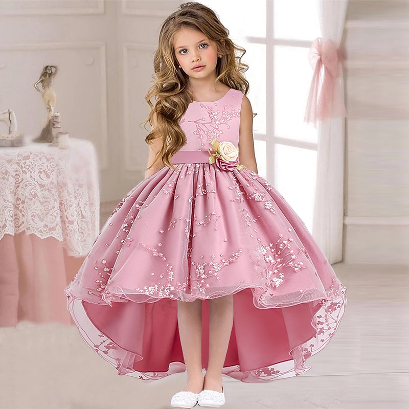 Kids Girls' Dress Floral Solid Colored Sleeveless Wedding Party Ruched Mesh Cute Princess Polyester Asymmetrical Floral Embroidery Dress A Line Dress Tulle Dress Summer Spring 3-12 Years Pink Wine3
