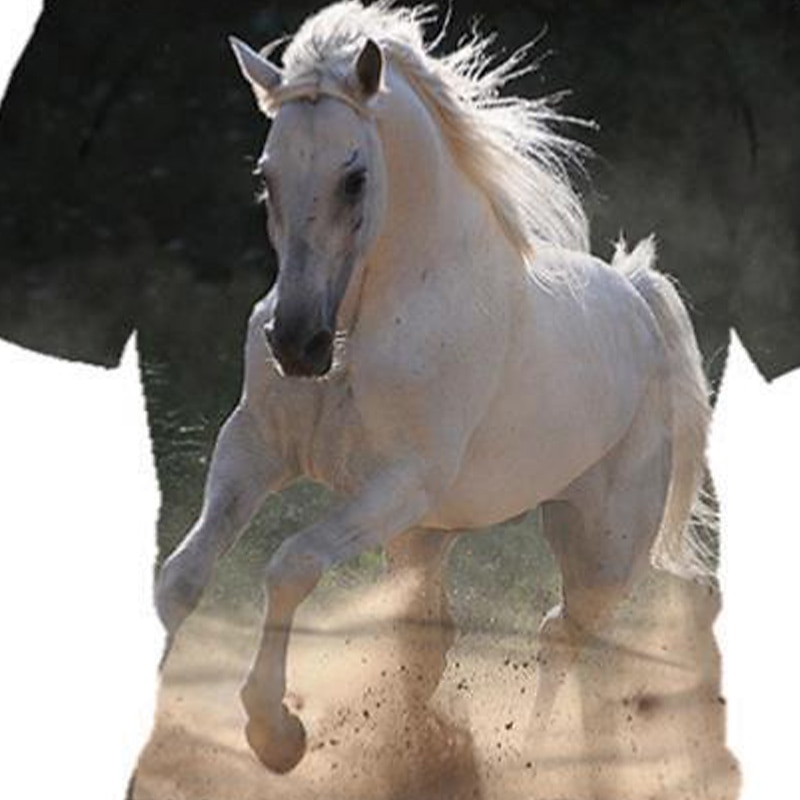 Girls' 3D Graphic Animal T shirt Tee Short Sleeve 3D Print Spring & Summer Active Polyester Rayon Kids 3-12 Years School4