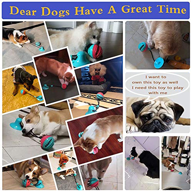 Upgrade Suction Cup Dog Toy Dog Chew Toys Interactive Dog Toys Dog Teeth Cleaning Toys Pet Molar Bite Toy Dog Squeaky Tug Toy For Dogs Non-toxic & Durable Dog Toys3