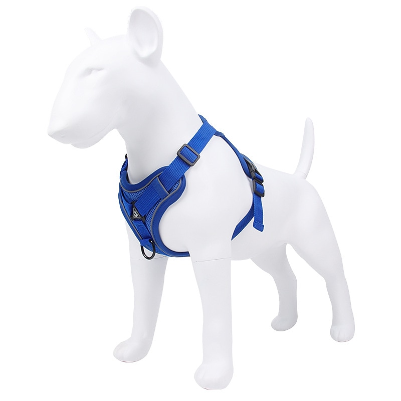 Dog Cat Pets Harness Leash Portable Durable Safety Outdoor Walking Letter Polyester Small Dog Blue 1pc4