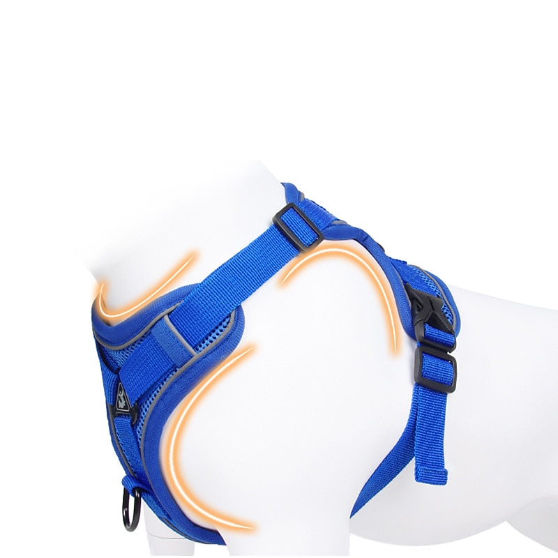 Dog Cat Pets Harness Leash Portable Durable Safety Outdoor Walking Letter Polyester Small Dog Blue 1pc