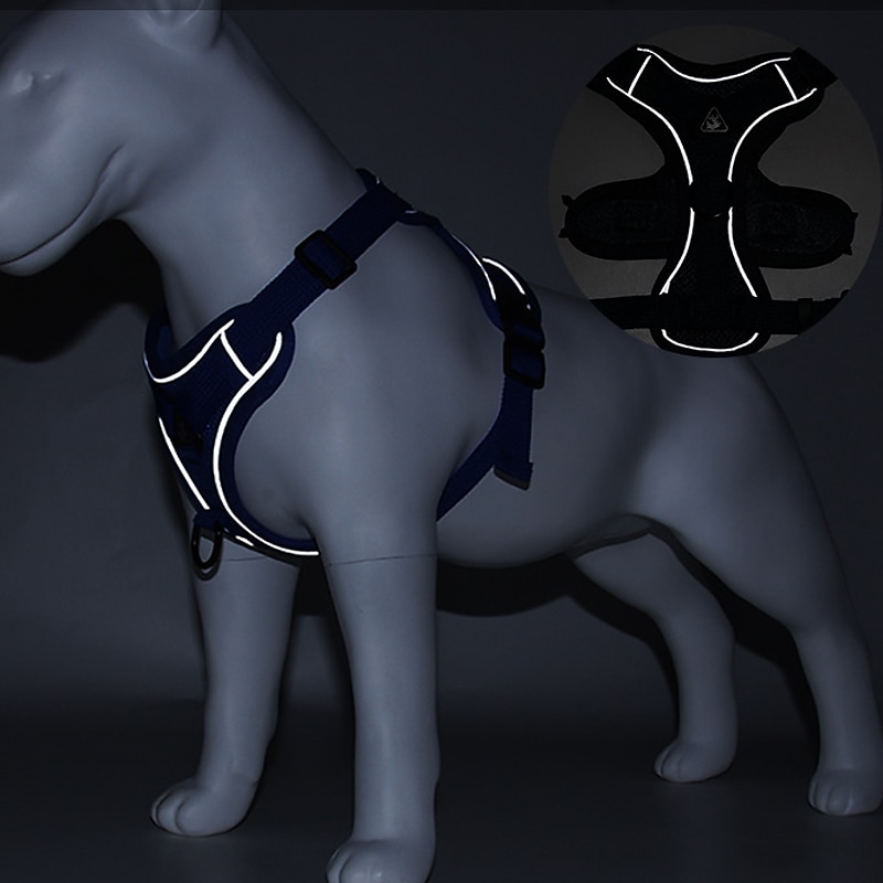 Dog Cat Pets Harness Leash Portable Durable Safety Outdoor Walking Letter Polyester Small Dog Blue 1pc2