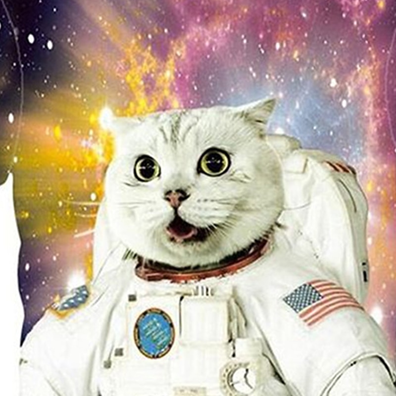 Boys 3D Animal Galaxy Cat T shirt Short Sleeve 3D Print Summer Spring Active Sports Fashion Kids 3-12 Years Outdoor Daily Regular Fit4