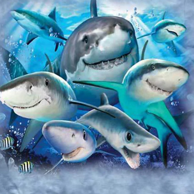 Boys 3D Animal Shark T shirt Short Sleeve 3D Print Summer Spring Active Sports Fashion Polyester Kids 3-12 Years Outdoor Daily Regular Fit3