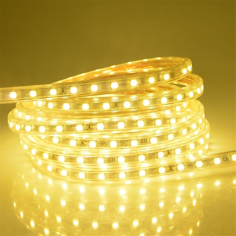 30m 98ft Waterproof LED Strip Light Rope Tape Dimmable Waterproof With Dimmer For Kitchen Closet Cabinet Backyard Backlight 220V4