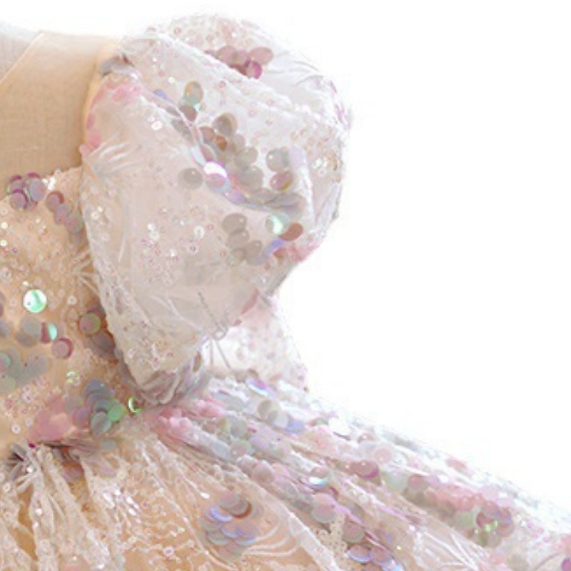 Kids Girls' Party Dress Solid Color Short Sleeve Performance Wedding Mesh Puff Sleeve Princess Sweet Mesh Mid-Calf Sheath Dress Tulle Dress Flower Girl's Dress Summer Spring Fall 2-12 Years Pink4