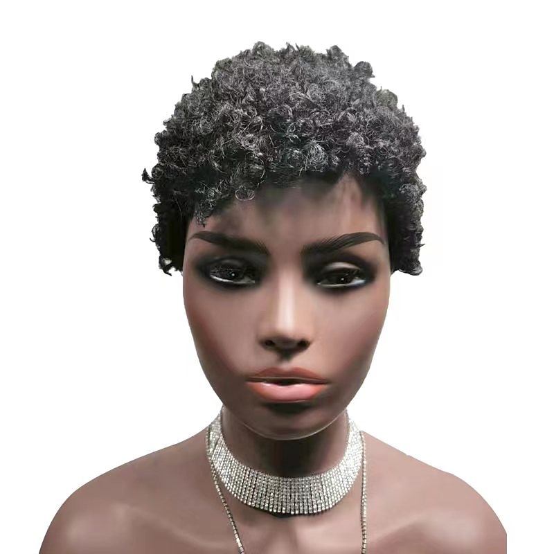 Black Wigs for Women Synthetic Wig Afro Curly Wig Short Black Synthetic Hair for Women2