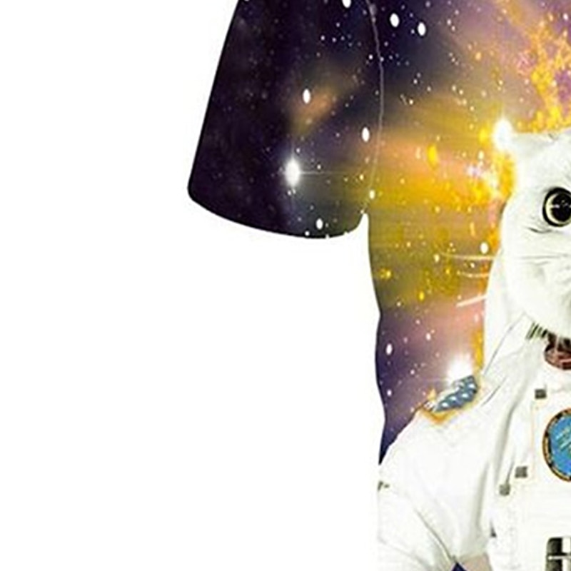 Boys 3D Animal Galaxy Cat T shirt Short Sleeve 3D Print Summer Spring Active Sports Fashion Kids 3-12 Years Outdoor Daily Regular Fit2