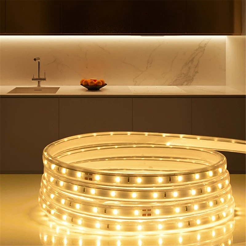 30m 98ft Waterproof LED Strip Light Rope Tape Dimmable Waterproof With Dimmer For Kitchen Closet Cabinet Backyard Backlight 220V2