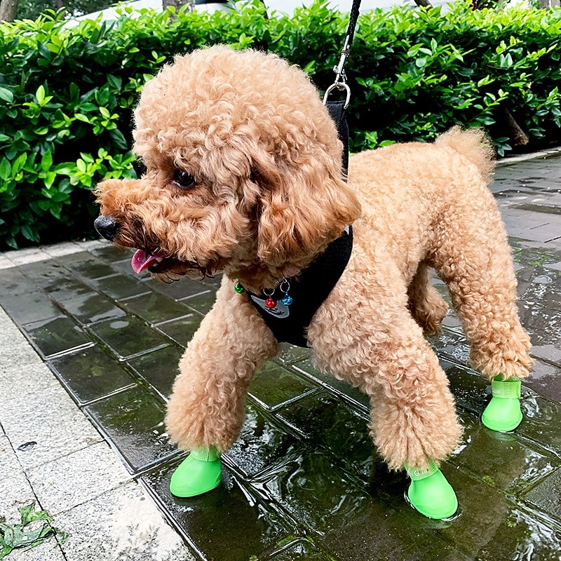 Dog Boots / Shoes Rain Boots Fashion Cute Waterproof Soft Washable Comfortable Outdoor Casual Daily Dog Clothing for Bichon Frise Pomeranian Baby Pet Papillon Small2