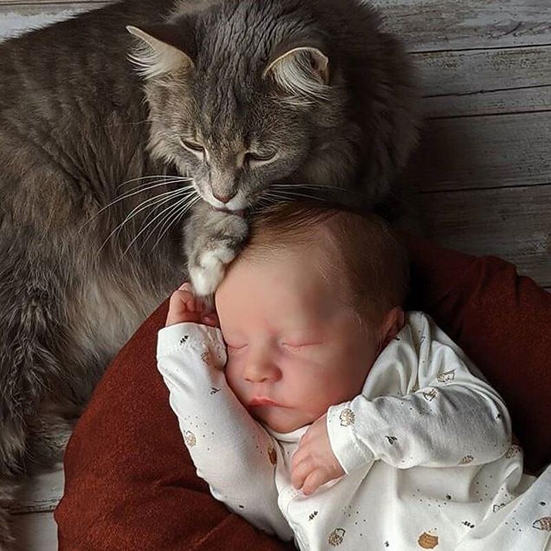 19 inch Reborn Baby DollFull Body Newborn Baby Doll Reborn Levi Soft Silicone Flexible 3D Skin Tone with Visible Veins Hand Paint Doll4