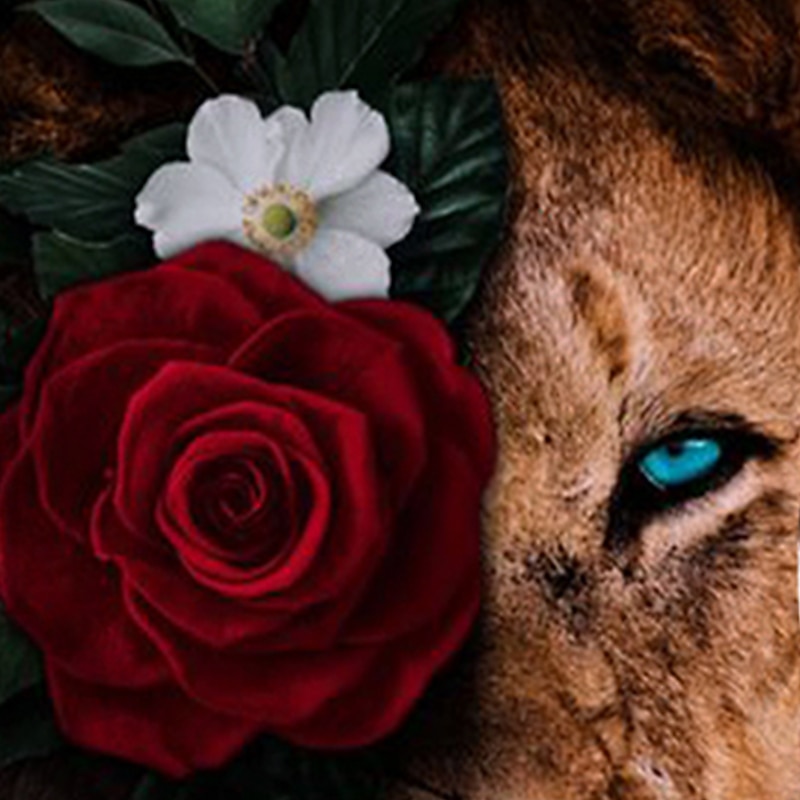 Boys 3D Graphic 3D T shirt Tee Short Sleeve 3D Print Active Kids4