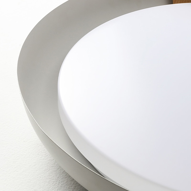 46cm Dimmable Ceiling Light Metal Painted Finishes Nature Inspired Modern 220-240V4