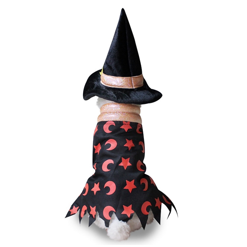 Pet Costume Christmas Old Man Dog Clothes Festival Pet Clothes Pumpkin Transformation Costume Wizard Costume3